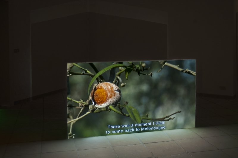 Ti avevo avvertito, 2014Video installazione, 10ýýý 57__Proiezione su muro, cm. 100x180x10