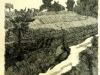 Paesaggio di Grizzana, 1932, acquaforte vitali 96