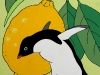 mastrangelo-naturamorta-con-limone-e-pinguino-cm-50x40